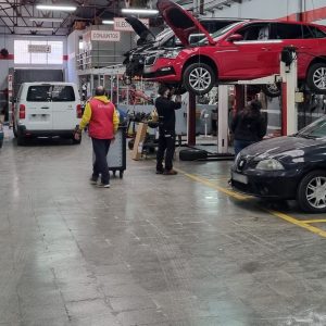 Skoda para cambio de aceite y filtros